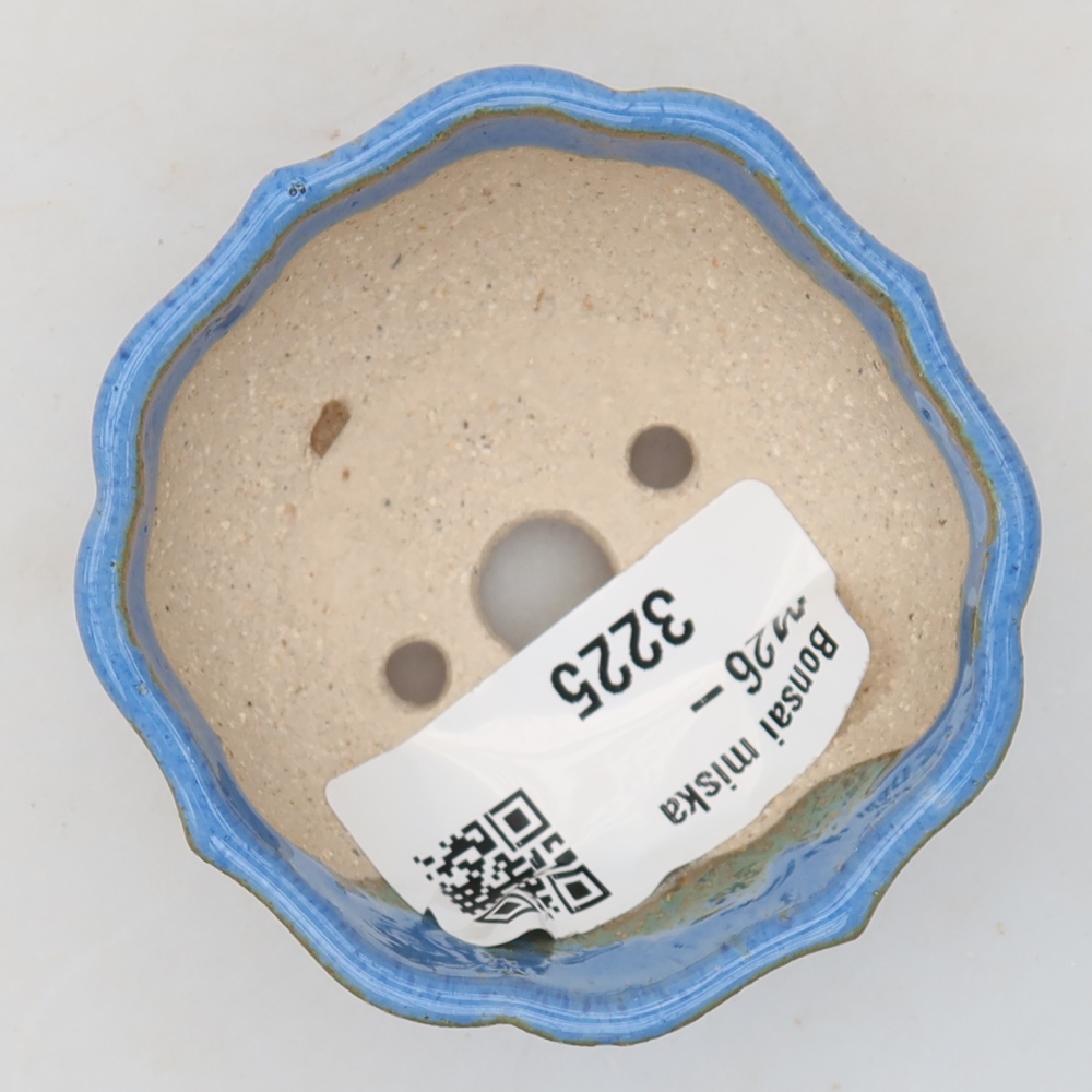 Vaso da bonsai in ceramica 5,5 x 5,5 x 3 cm, colore blu