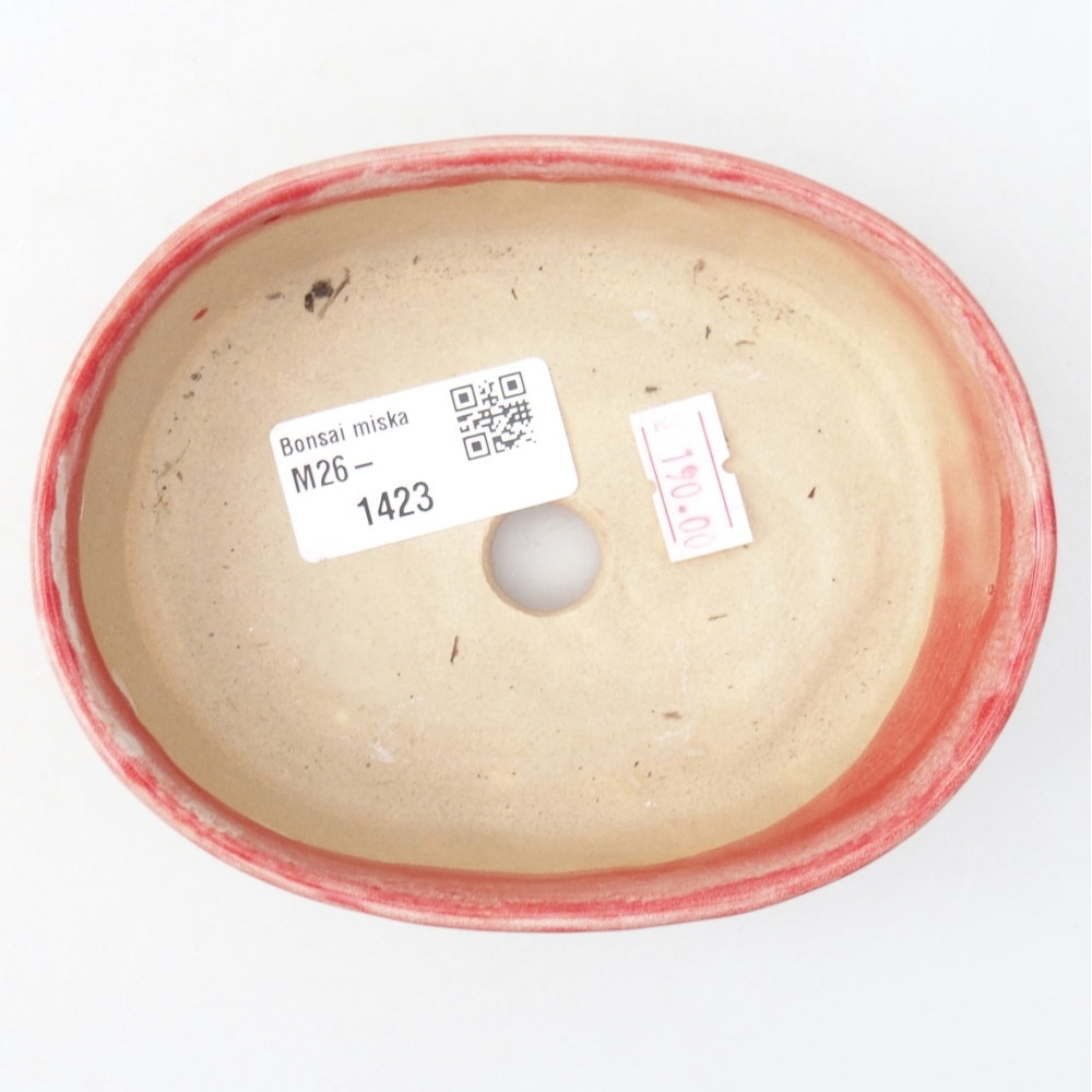 Ciotola per bonsai in ceramica 12,5 x 10 x 3,5 cm, colore rosso