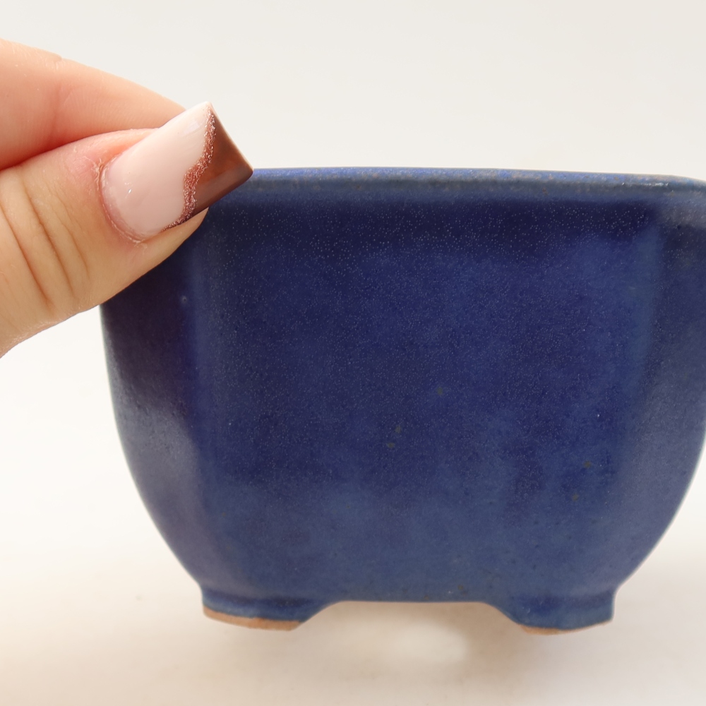 Vaso in ceramica per bonsai 10 x 10 x 6,5 cm, colore blu