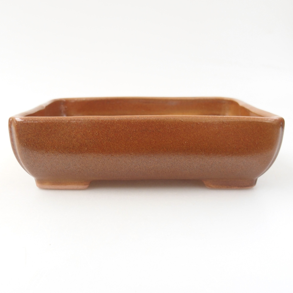 Ciotola bonsai in ceramica 22 x 17 x 5 cm, verde