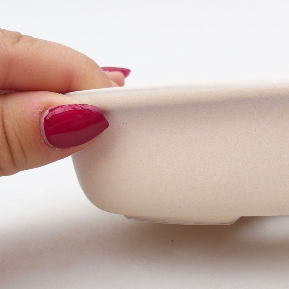 Ciotola bonsai in ceramica 11,5 x 11,5 x 5 cm, beige