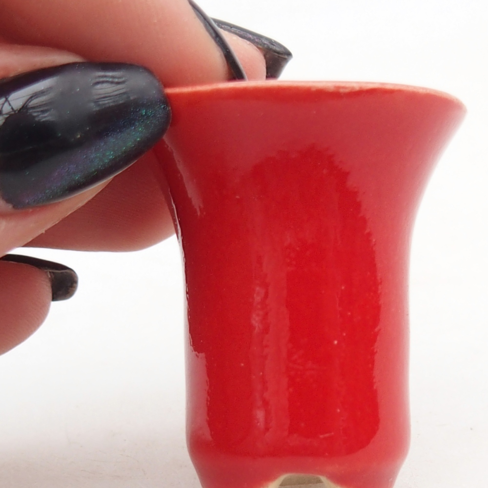 Mini bonsai 3 x 3 x 3,5 cm, colore rosso