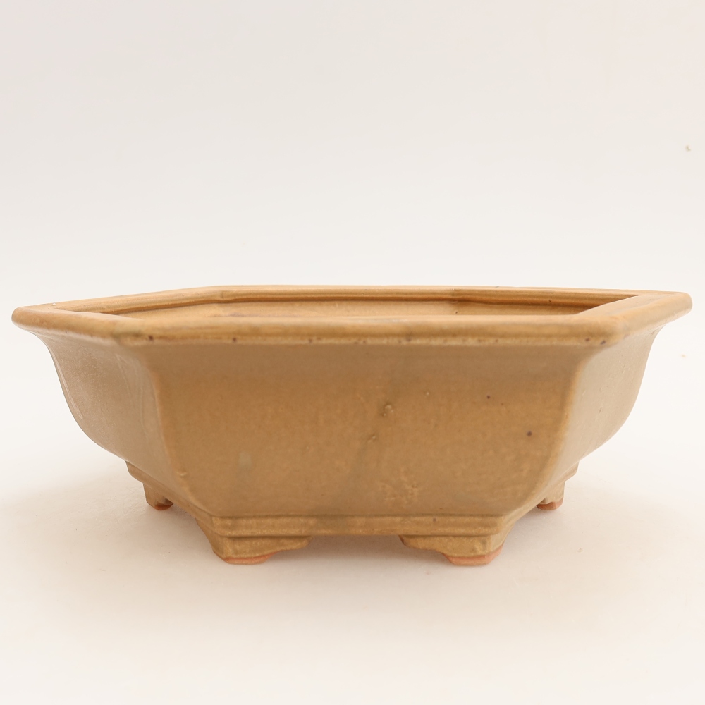 Vaso da bonsai in ceramica 24 x 21,5 x 7,5 cm, colore beige