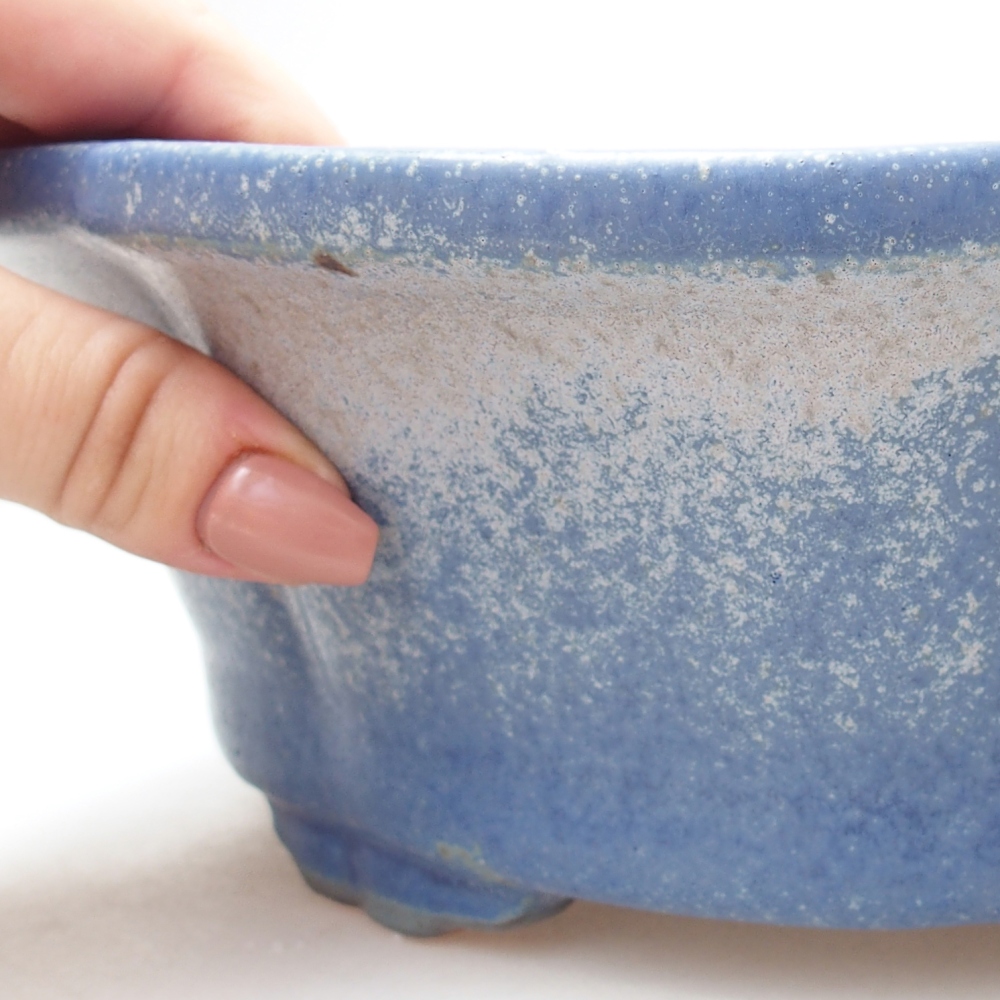 Ciotola bonsai in ceramica 26,5 x 26,5 x 8 cm, colore blu