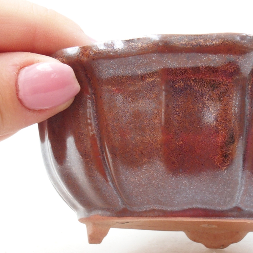 Ciotola per bonsai in ceramica 11 x 11 x 5 cm, marrone