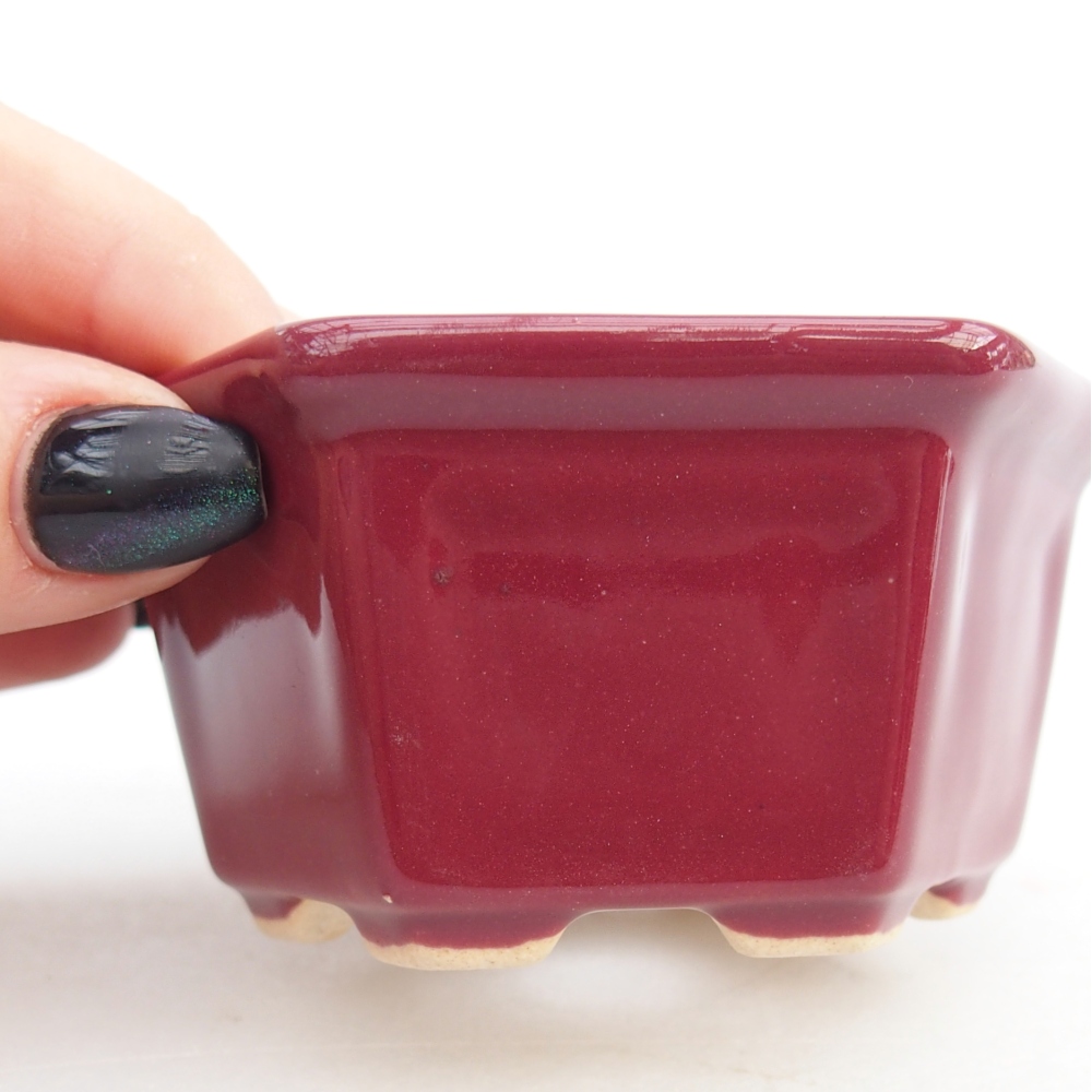 Ciotola per mini bonsai 8 x 7 x 4 cm, bordeaux