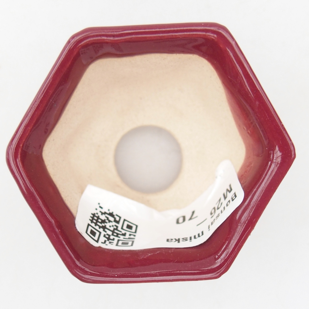 Ciotola per mini bonsai 5 x 4,5 x 3 cm, bordeaux