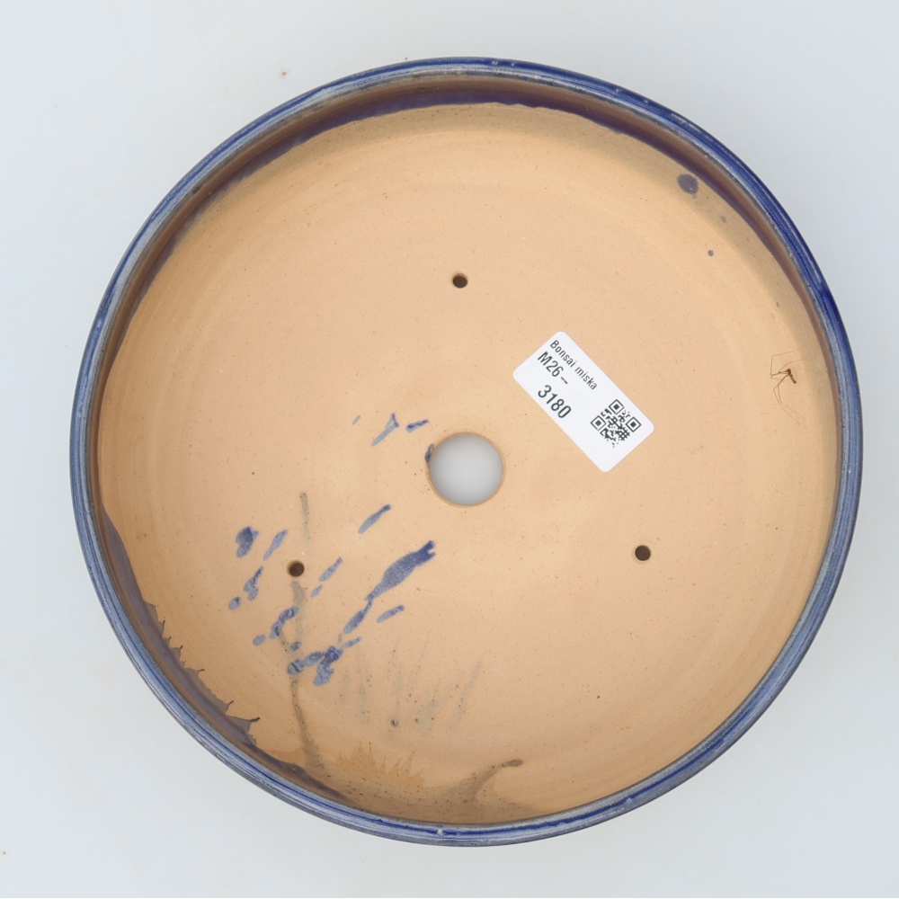 Vaso da bonsai in ceramica 20 x 20 x 6,5 cm, colore blu