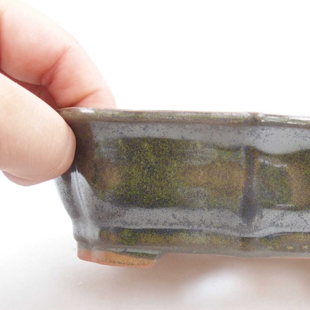 Ciotola bonsai in ceramica 22 x 17 x 5 cm, verde