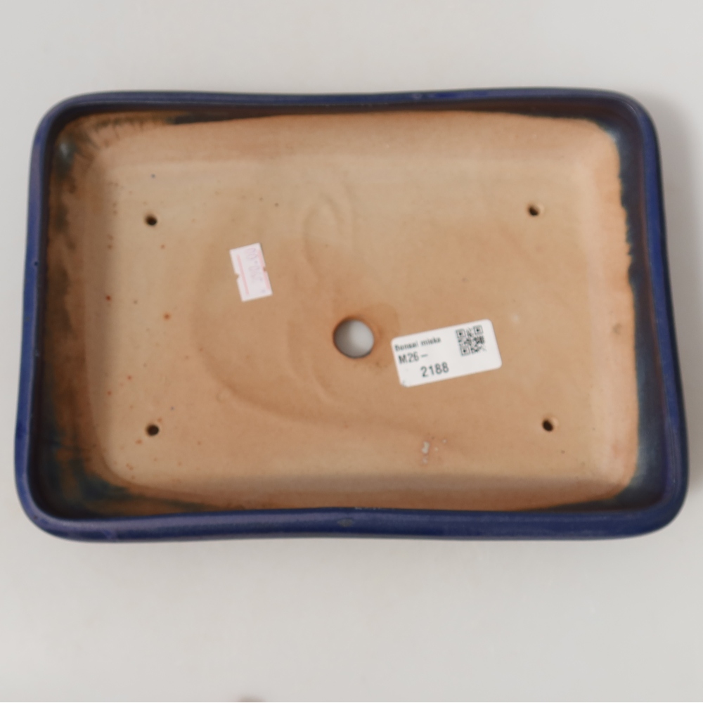 Vaso da bonsai in ceramica 24 x 17,5 x 4 cm, colore blu