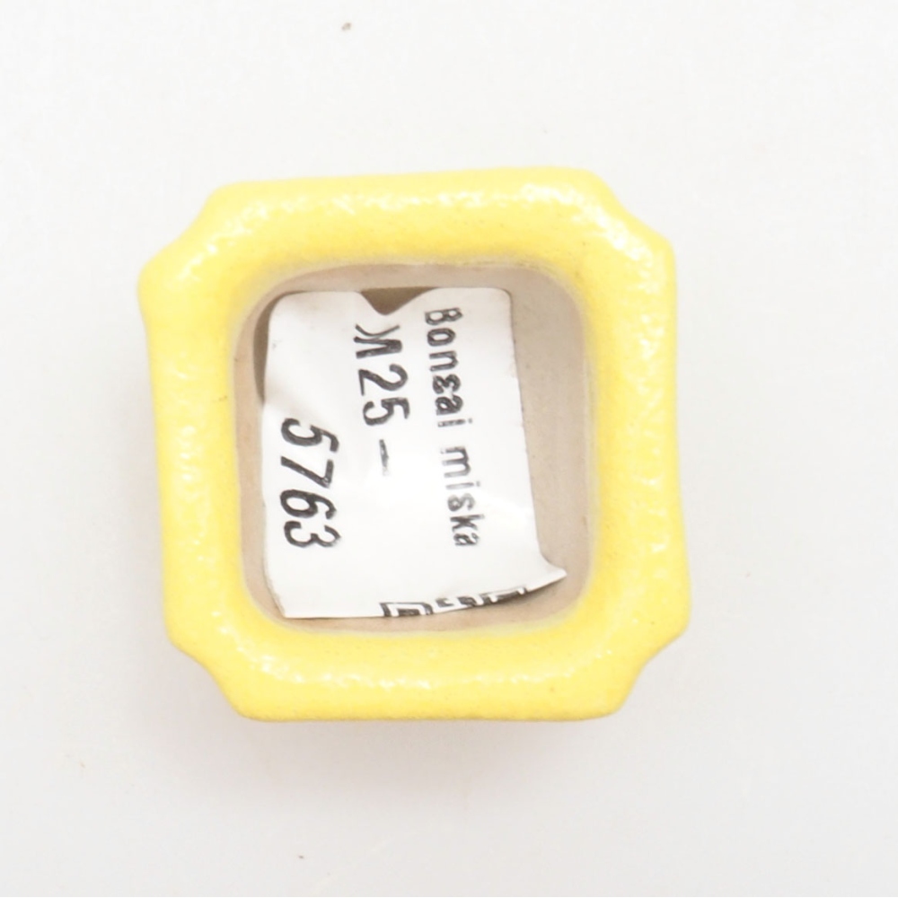 Ciotola bonsai in ceramica 3 x 3 x 2 cm, giallo