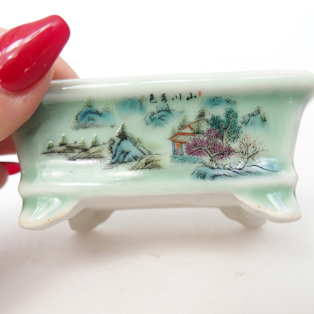 Mini bonsai 8 x 6 x 3 cm, verde