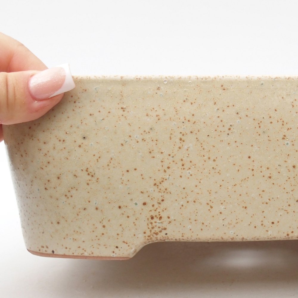 Ciotola bonsai in ceramica 23 x 18 x 7,5 cm, colore beige