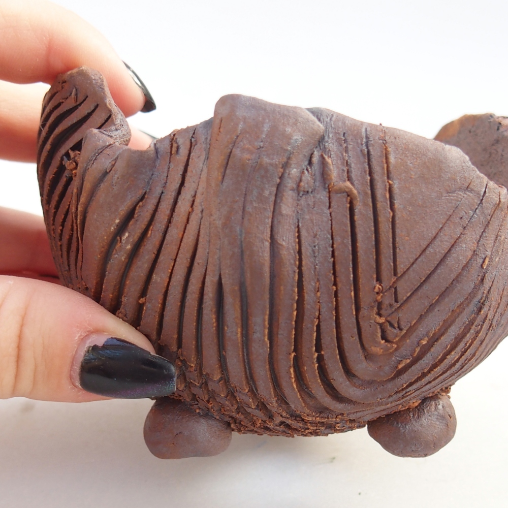 Conchiglia in ceramica 10 x 9,5 x 7 cm , colore marrone