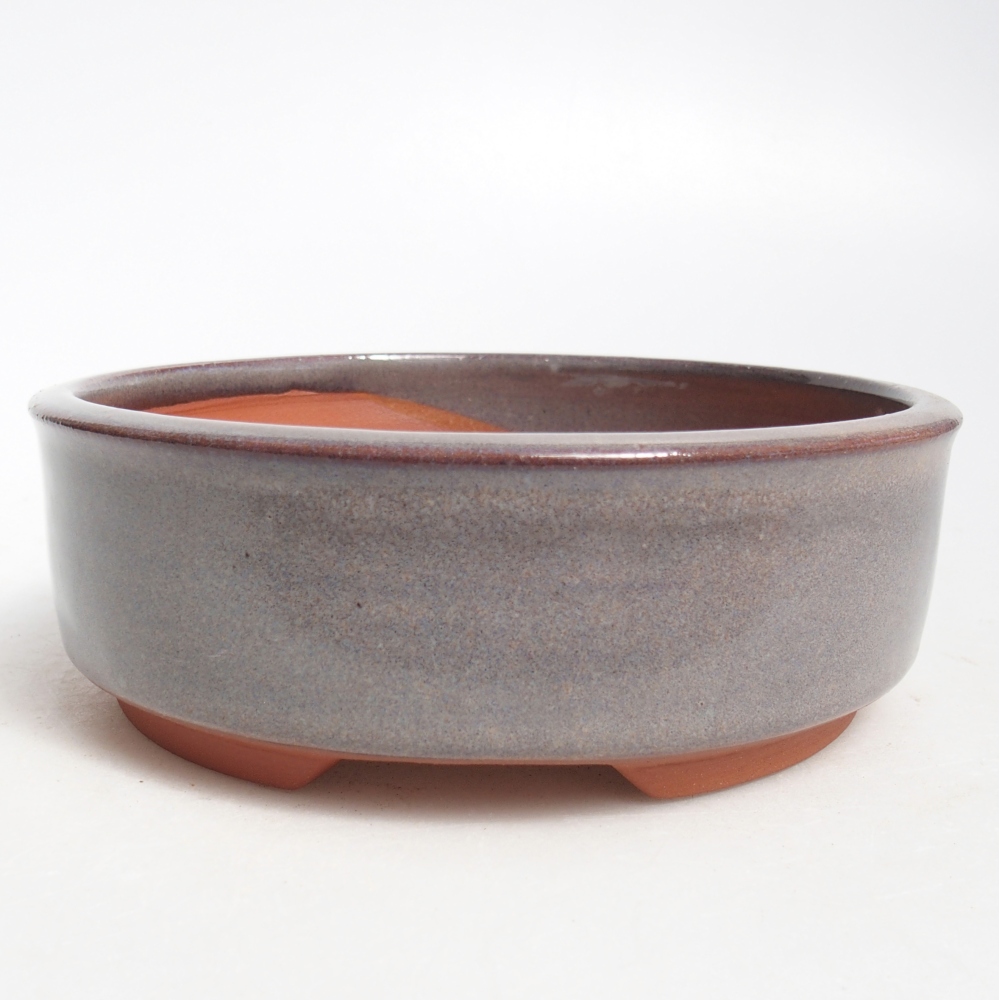Ciotola per bonsai in ceramica 15 x 15 x 5 cm, grigio