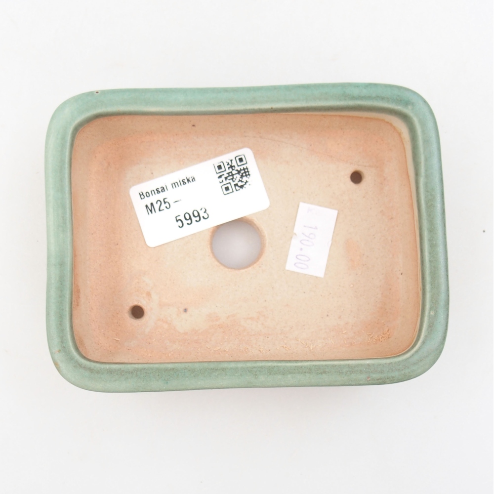 Ciotola bonsai in ceramica 22 x 17 x 5 cm, verde