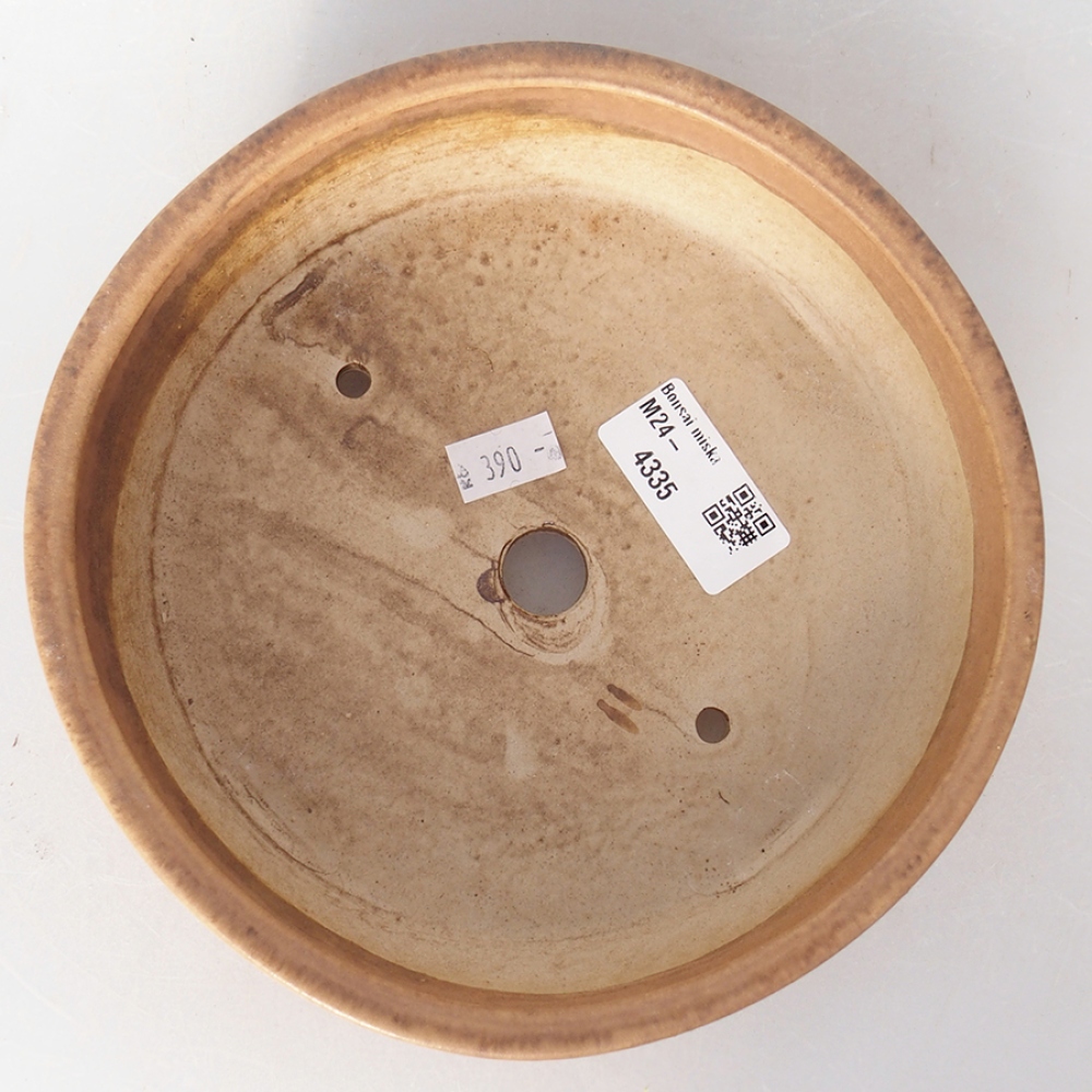 Ciotola bonsai in ceramica 18 x 18 x 5 cm, rosa