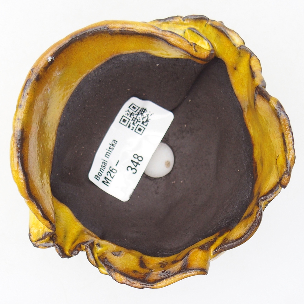 Guscio in ceramica 9 x 8,5 x 6,5 cm , giallo