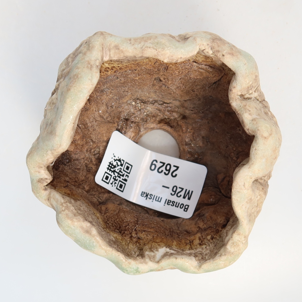 Guscio in ceramica  8 x 7 x 5,5 cm, colore verde