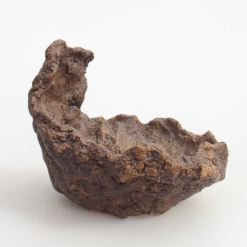 Conchiglia in ceramica 10 x 9 x 9 cm , colore marrone