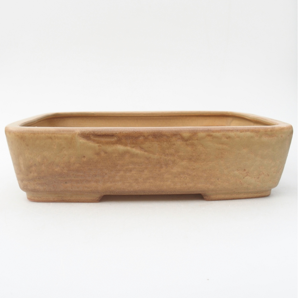 Ciotola per bonsai in ceramica 26,5 x 20,5 x 6,5 cm, colore beige