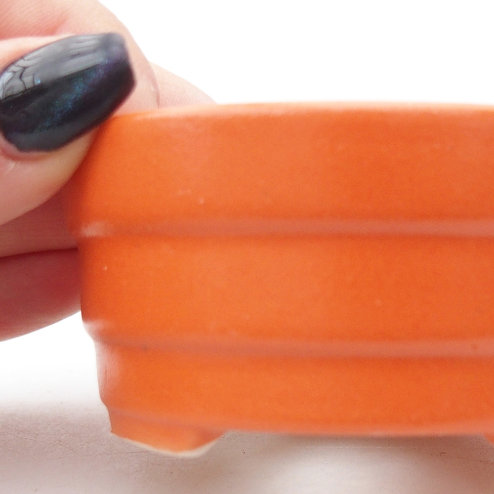 Mini bonsai 7,5 x 7,5 x 3,5 cm, arancio