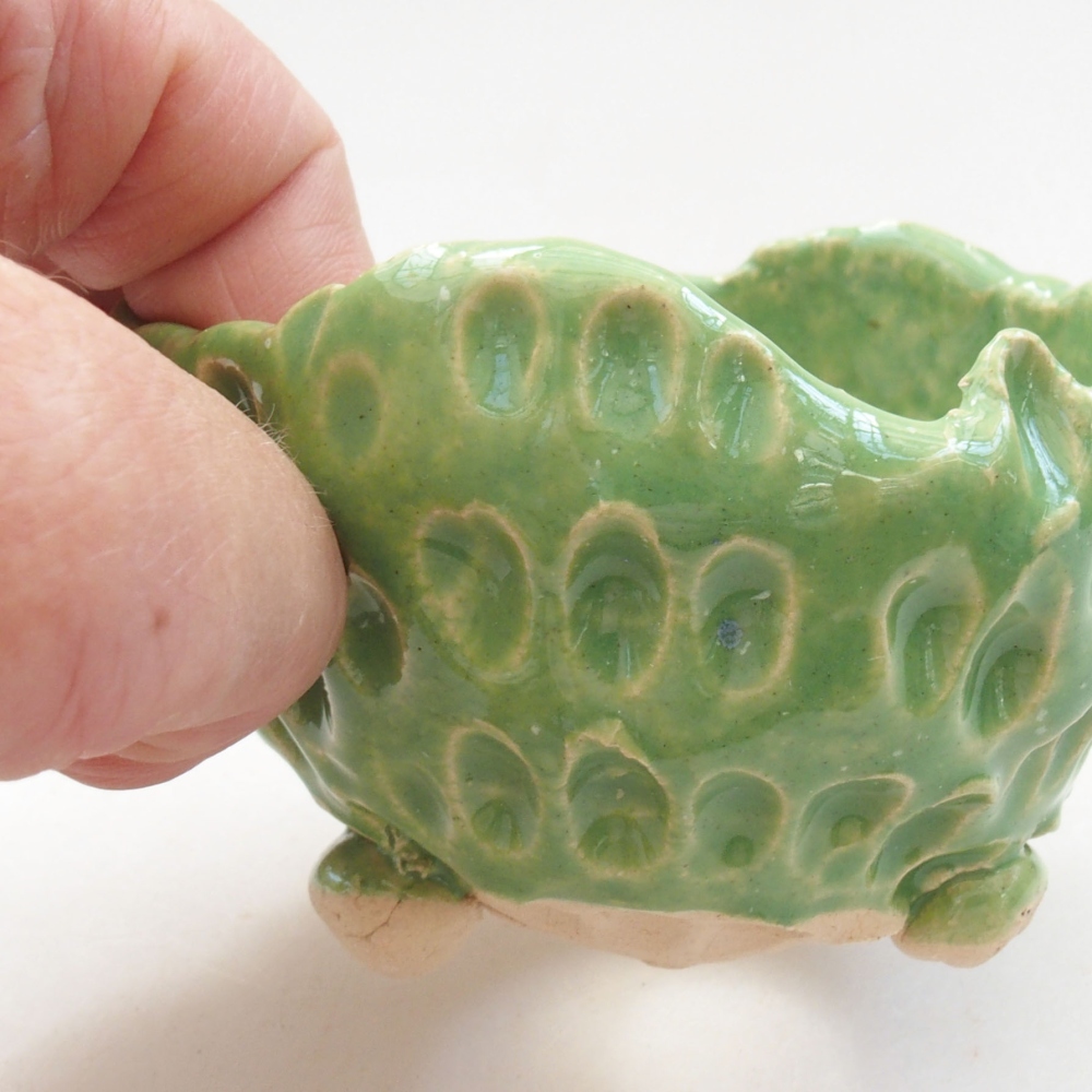 Conchiglia in ceramica 7 x 7 x 5 cm , colore verde