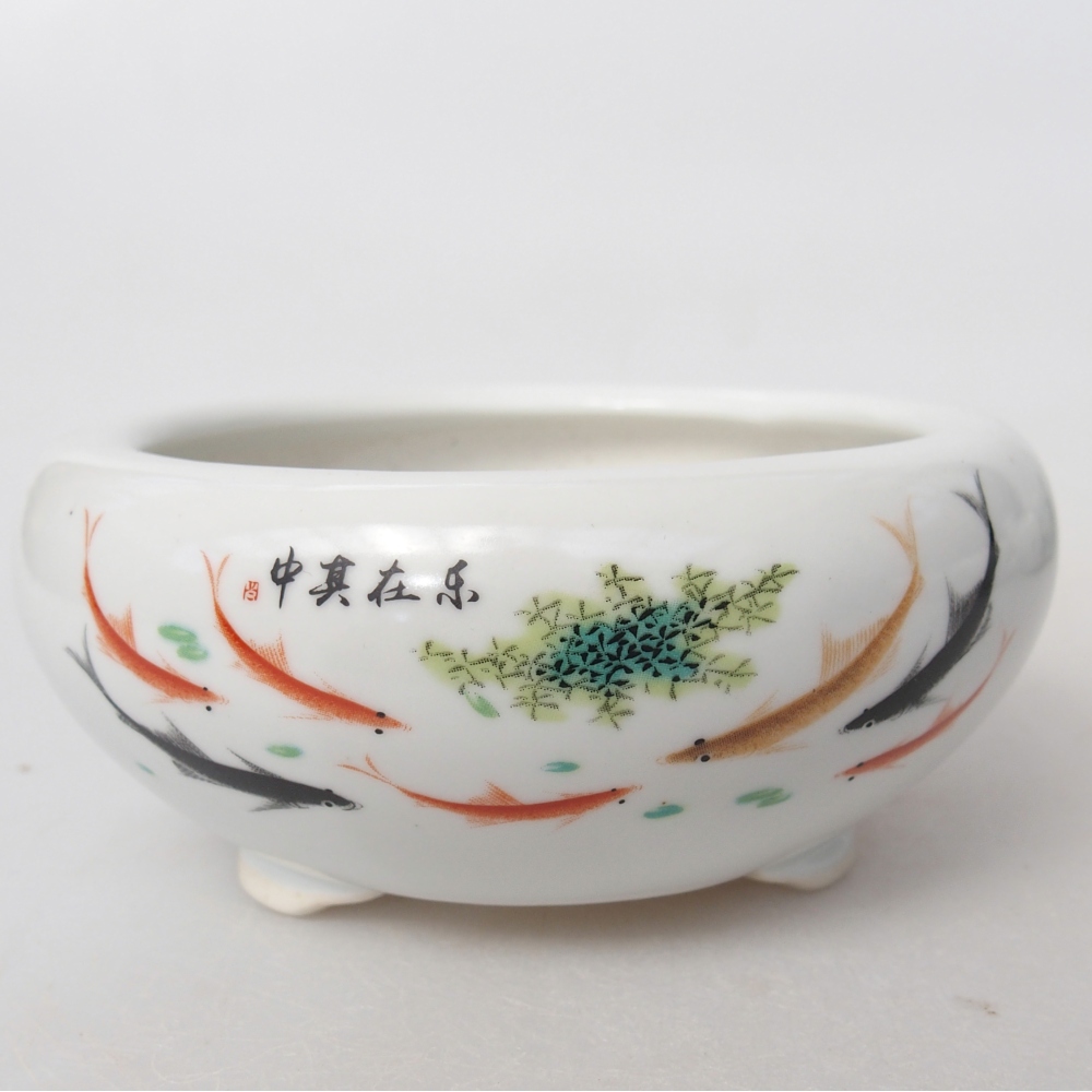 Ciotola per bonsai in ceramica 10 x 10 x 5 cm, colore bianco