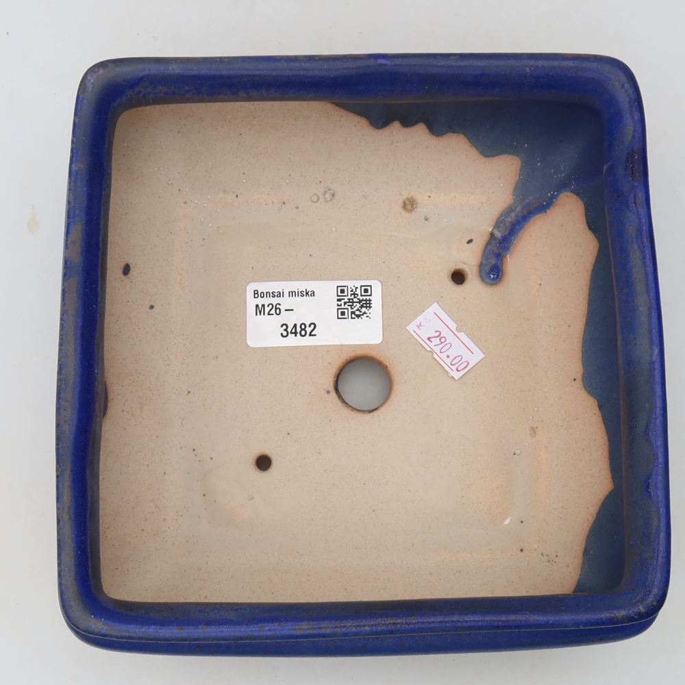 Vaso da bonsai in ceramica 15,5 x 15,5 x 6 cm, colore blu