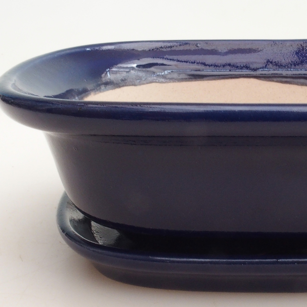 Ciotola bonsai + piattino H25 - 23 x 17 x 5,5 cm - blu