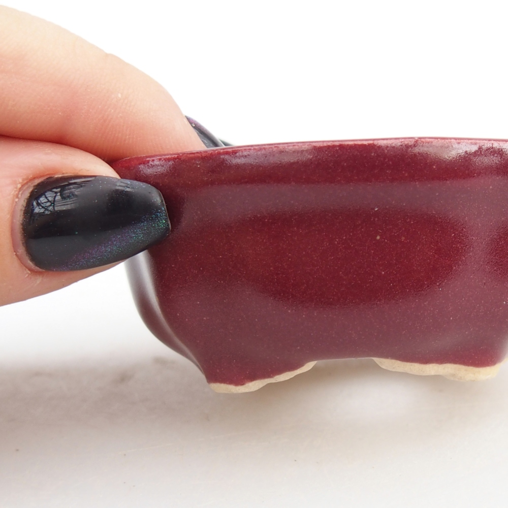 Ciotola per mini bonsai 6,5 x 6,5 x 3 cm, bordeaux