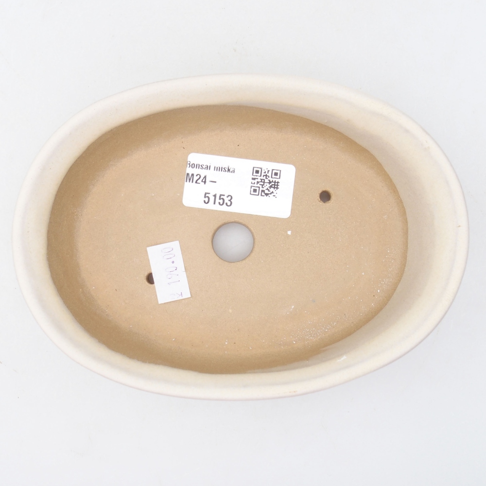Ciotola bonsai in ceramica 11,5 x 11,5 x 5 cm, beige
