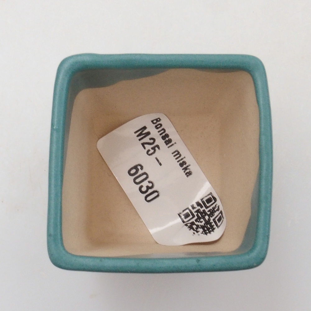 Ciotola bonsai in ceramica 6,5 x 5,5 x 4 cm, colore blu