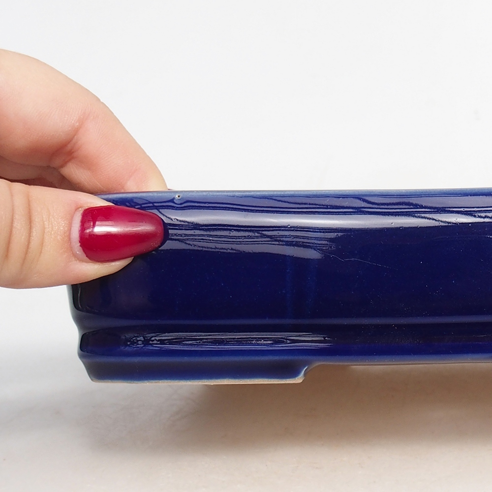 Ciotola bonsai in ceramica 18 x 13 x 4 cm, colore blu