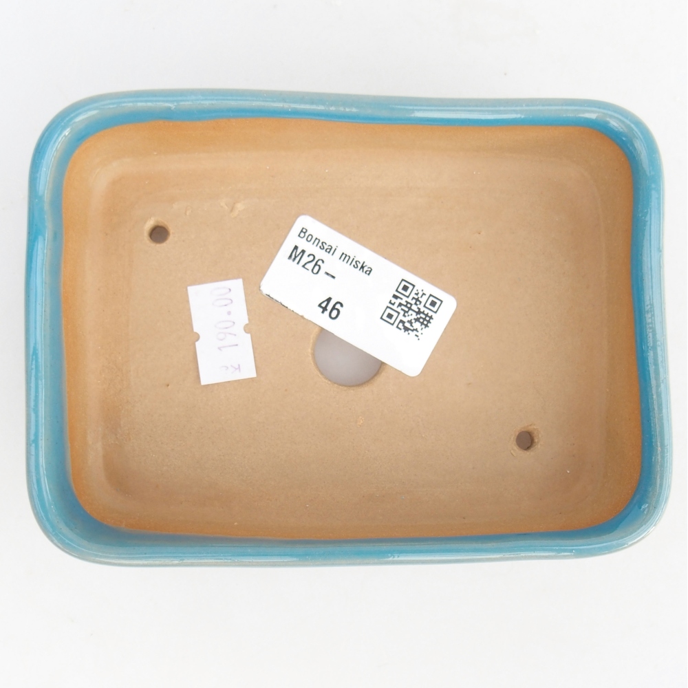 Ciotola bonsai in ceramica 12,5 x 9,5 x 3,5 cm, colore blu