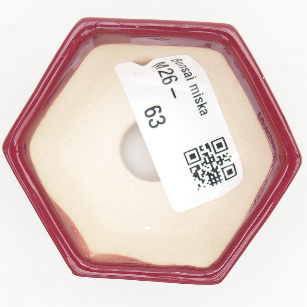 Ciotola per mini bonsai 6 x 5,5 x 2,5 cm, bordeaux