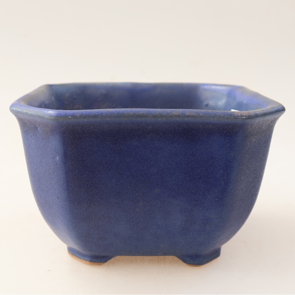 Vaso in ceramica per bonsai 10 x 10 x 6,5 cm, colore blu