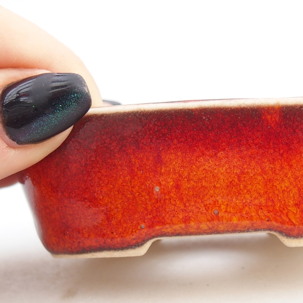 Mini bonsai 6 x 6 x 2,5 cm, colore rosso