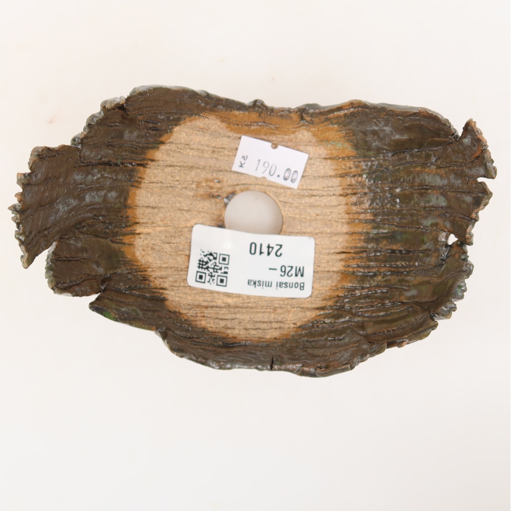 Guscio in ceramica  11,5 x 8 x 8 cm, colore verde-marrone