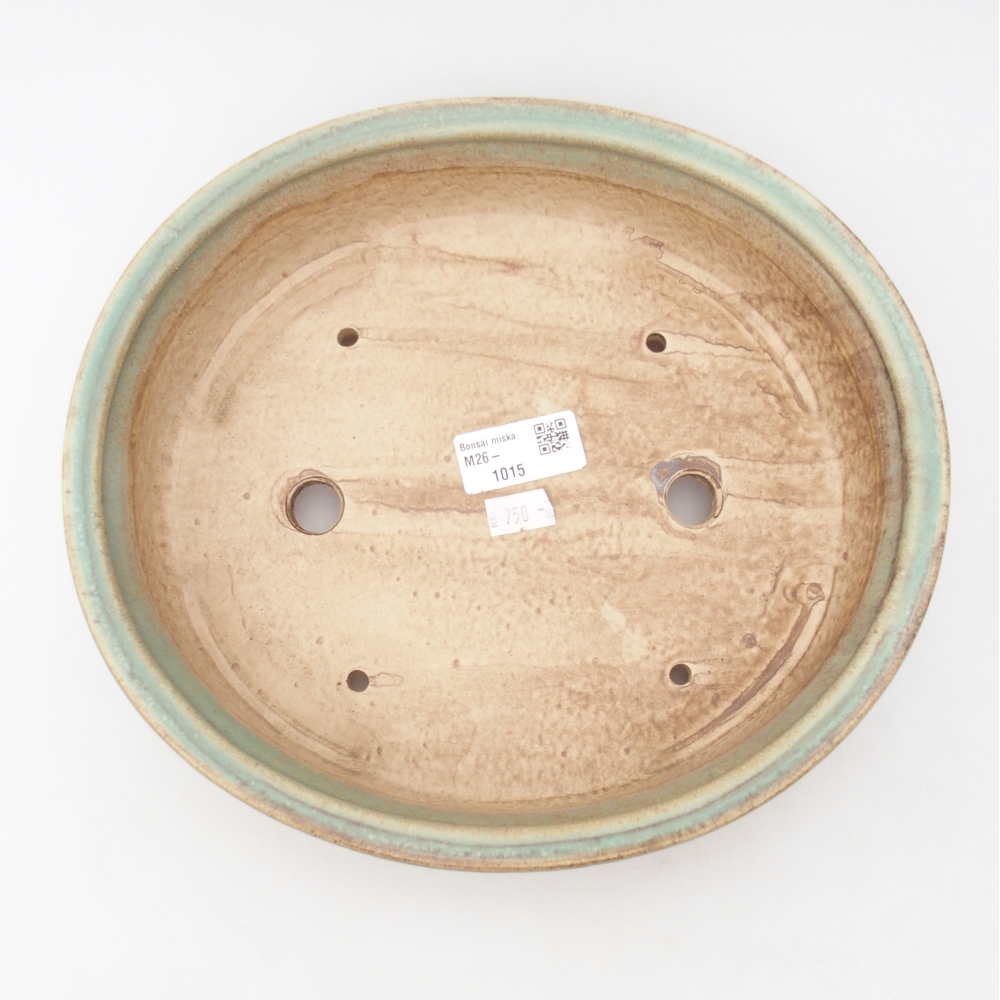 Ciotola bonsai in ceramica 26 x 23,5 x 5,5 cm, verde
