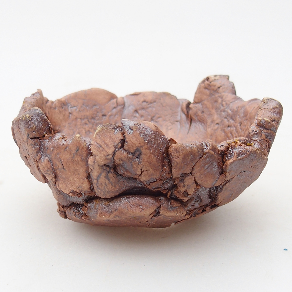 Conchiglia in ceramica 9 x 9 x 4,5 cm , colore marrone