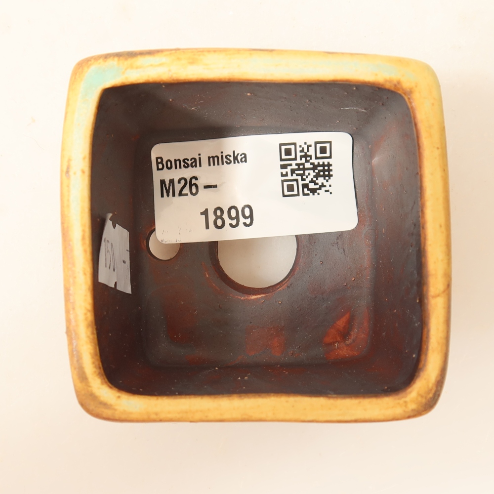 Ciotola per bonsai in ceramica 6 x 6 x 4,5 cm, verde