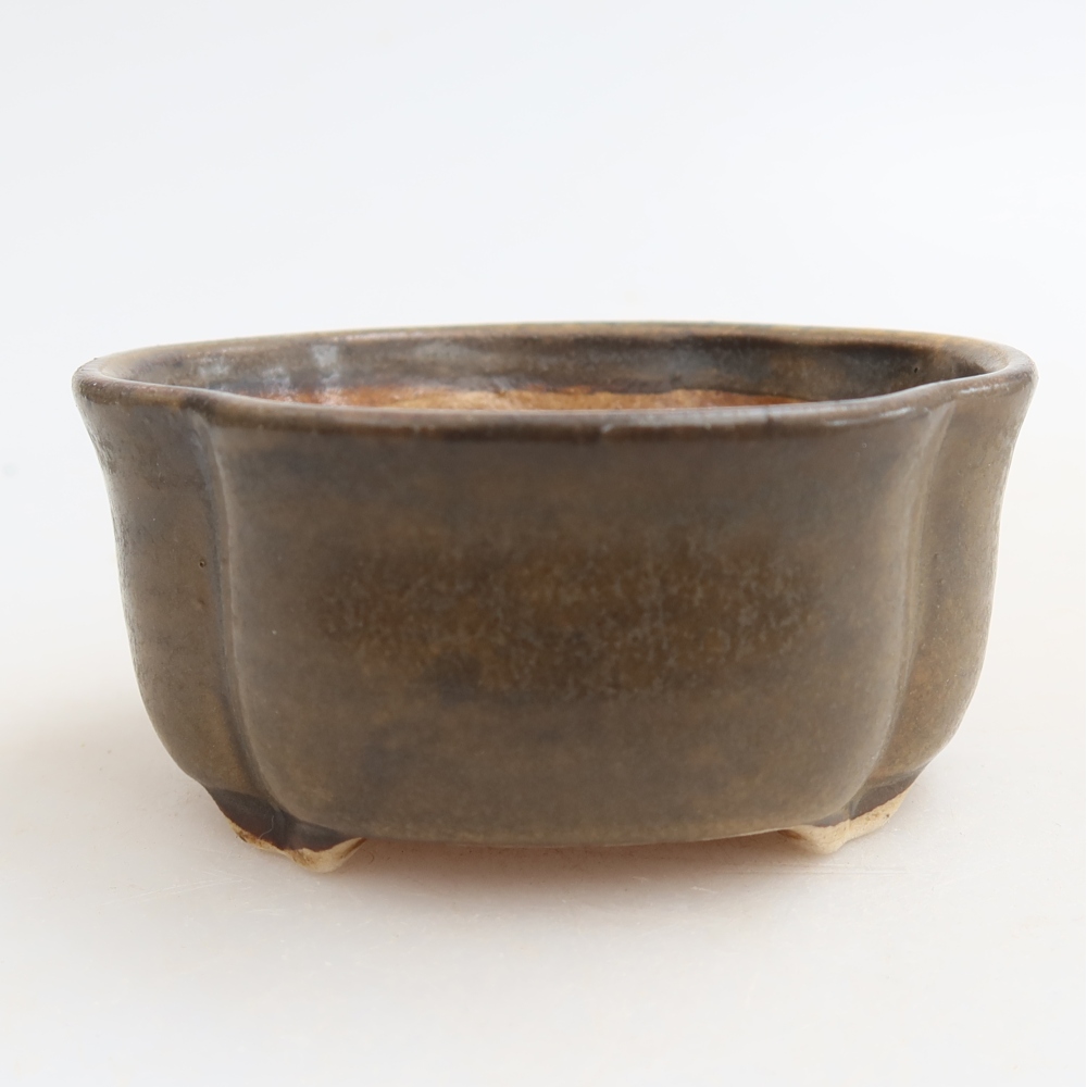 Ciotola per bonsai in ceramica 8 x 7,5 x 3,5 cm, marrone
