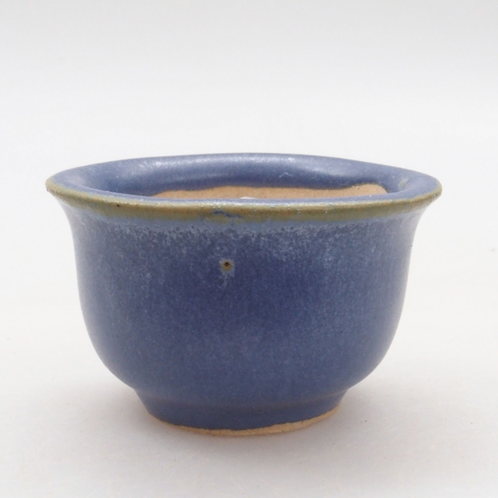 Mini bonsai 4,5 x 4,5 x 3 cm, colore blu