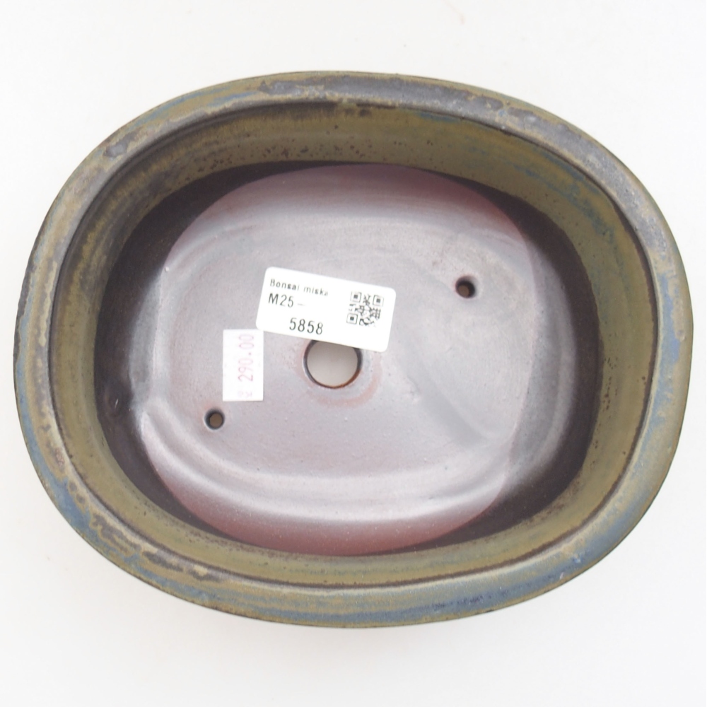 Ciotola bonsai in ceramica 22 x 17 x 5 cm, verde