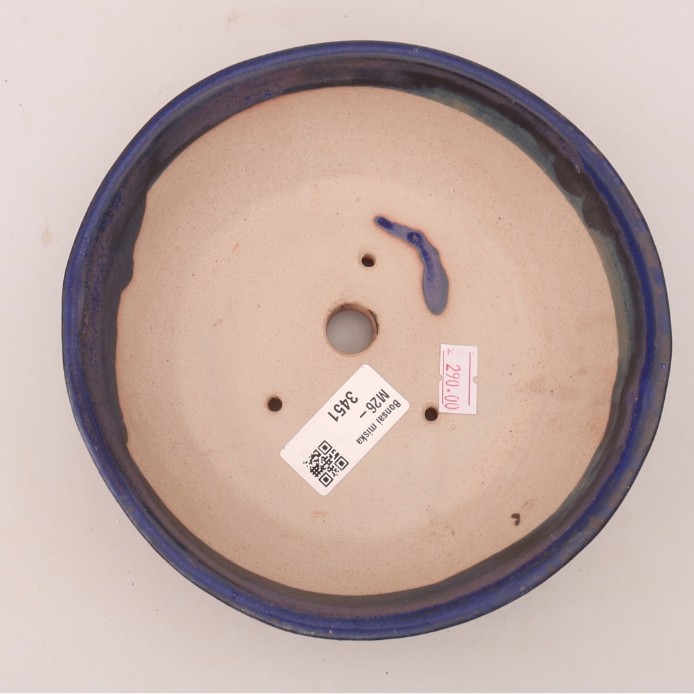 Vaso da bonsai in ceramica 17 x 17 x 5 cm, colore blu