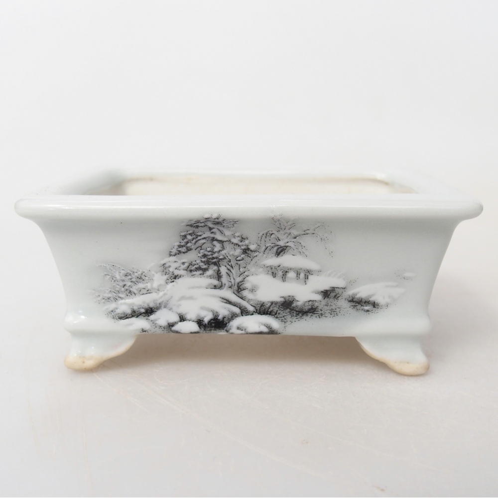 Mini bonsai 8 x 6 x 3 cm, bianco