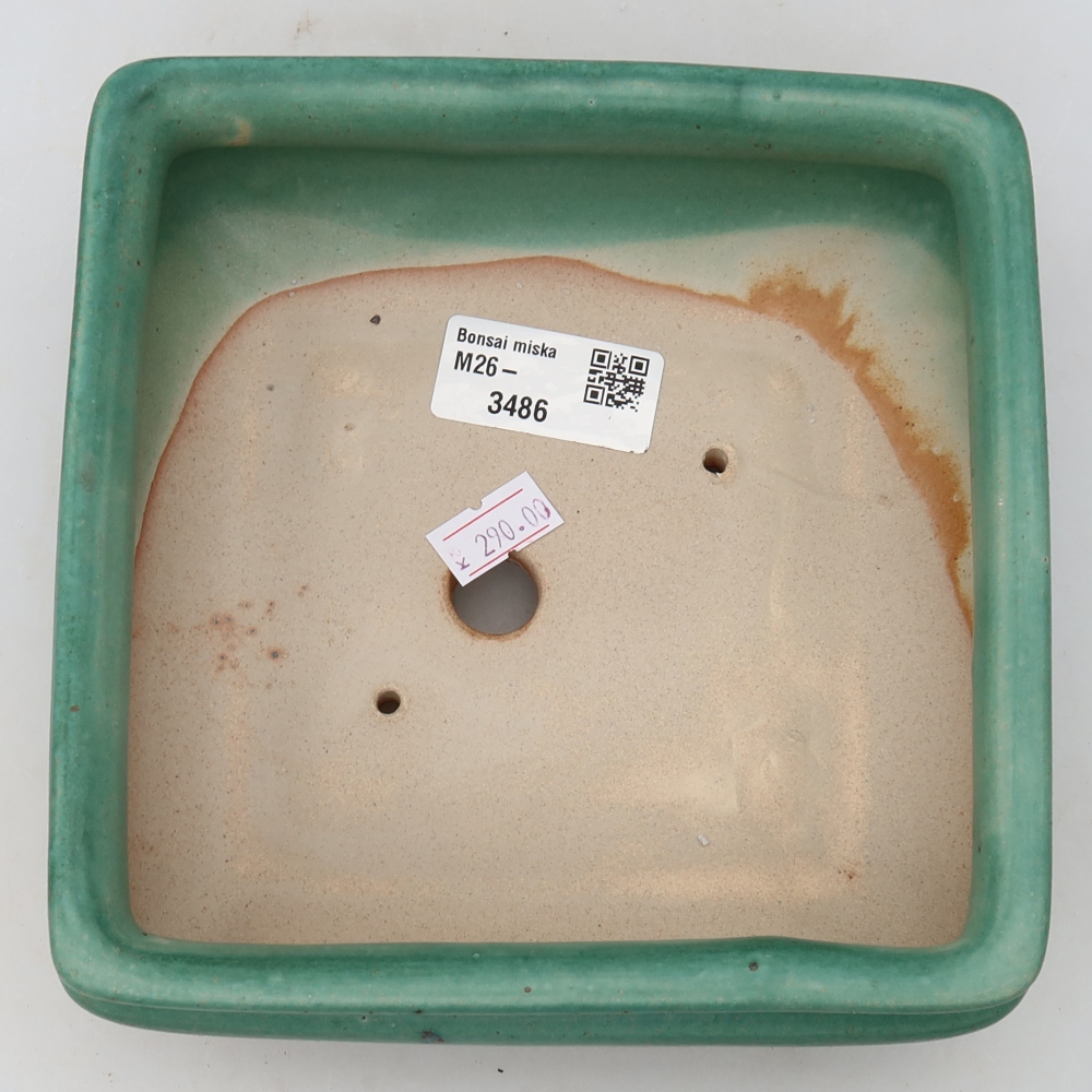 Ciotola per bonsai in ceramica 15,5 x 15,5 x 6 cm, verde