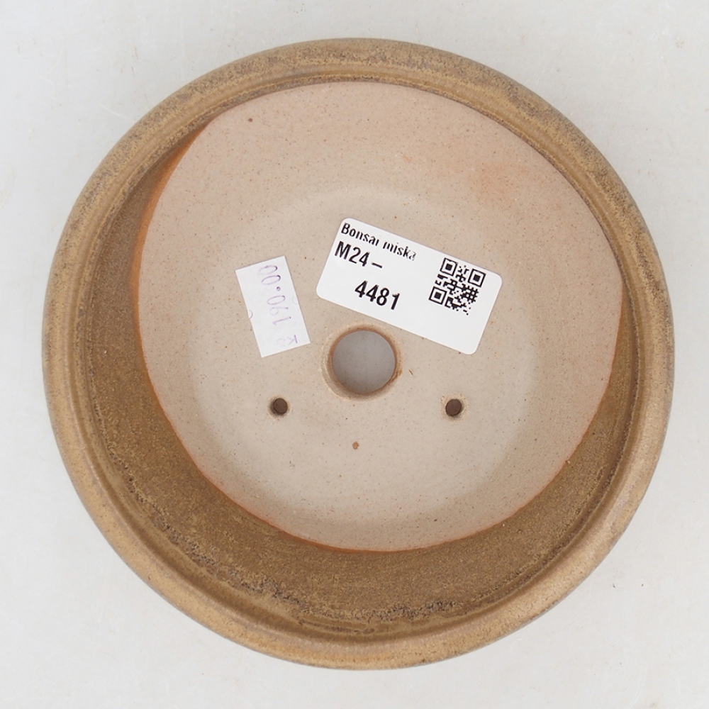 Ciotola bonsai in ceramica 13,5 x 13,5 x 4,5 cm, colore beige