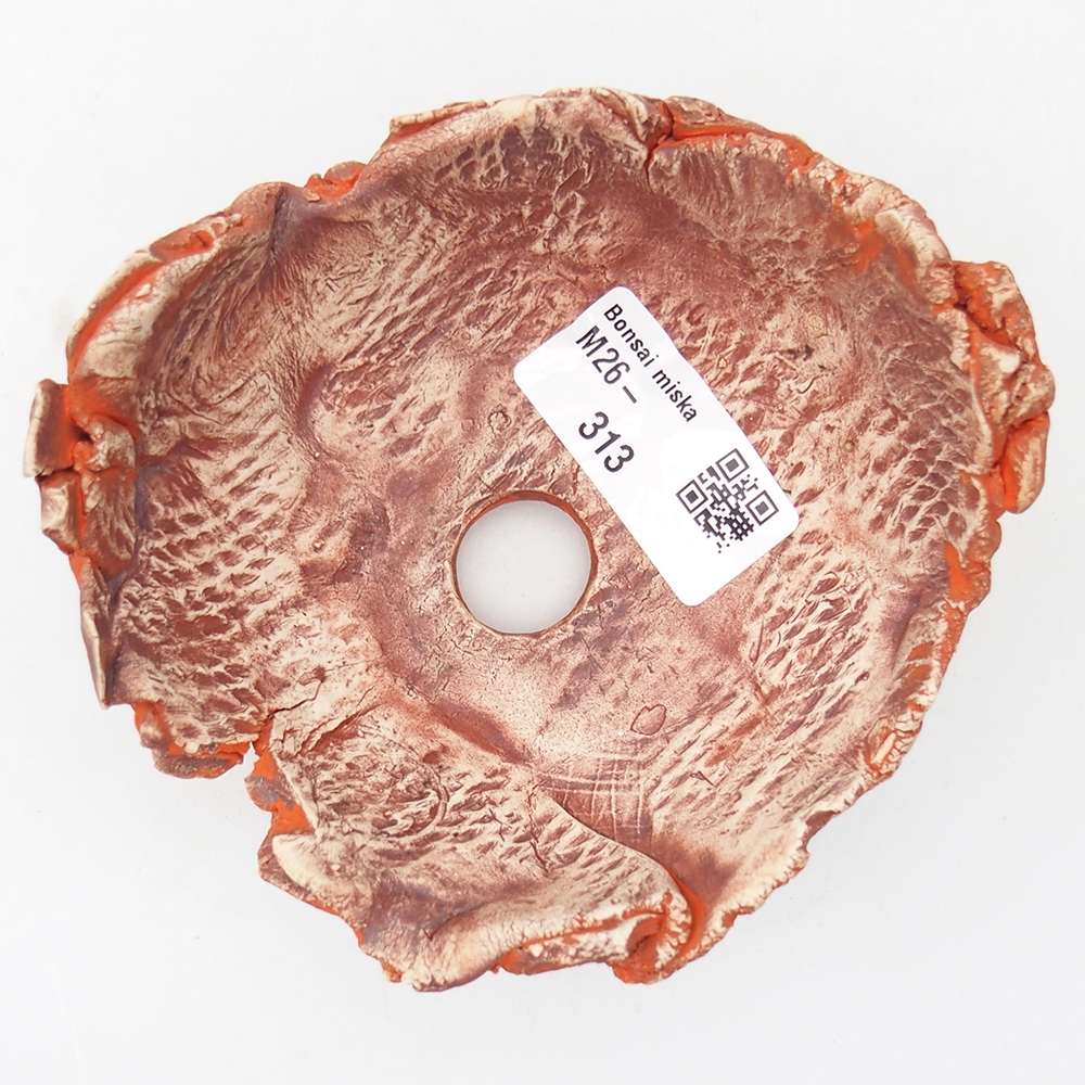 Conchiglia in ceramica 11 x 11 x 6 cm , colore arancione